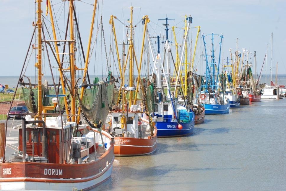 Ferienpark Harmsen Cuxhaven Exteriör bild
